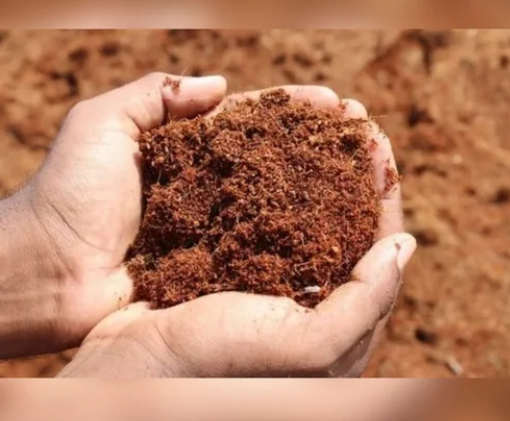 High EC Coco Peat Powder