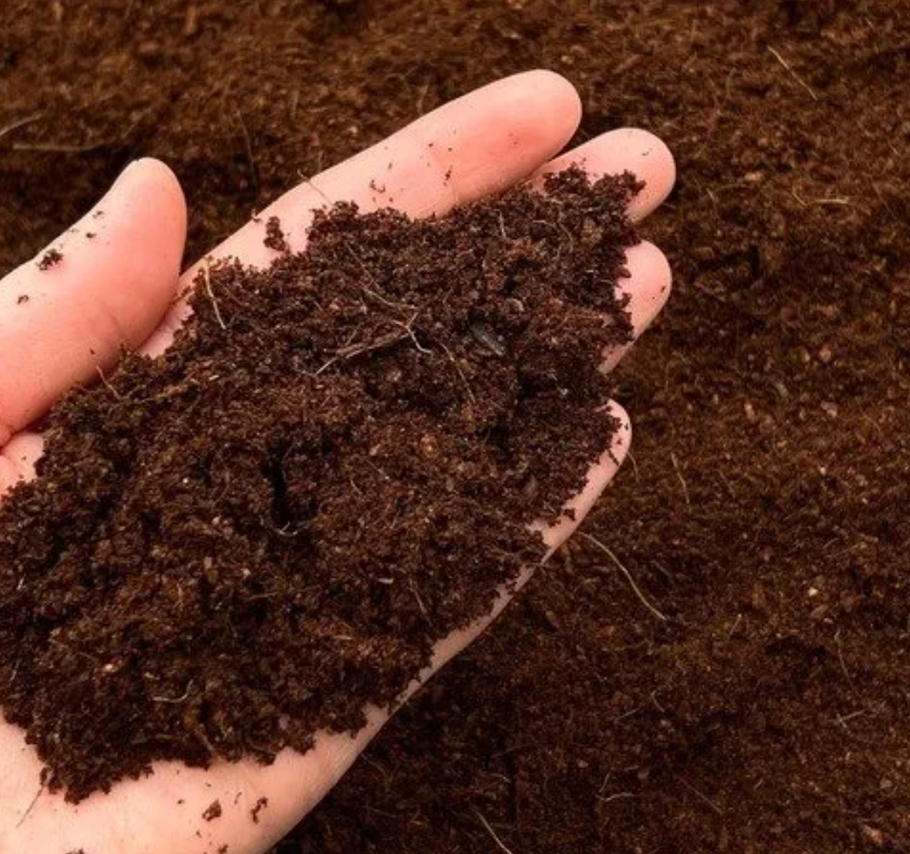 Export Grade Low EC Coco Peat Powder