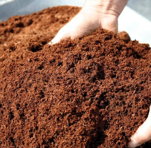 Low EC Coco Peat Powder
